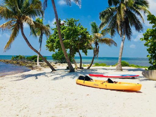 Zwei Kajaks auf einem weißen Strand, umgeben von Palmen und Meer.